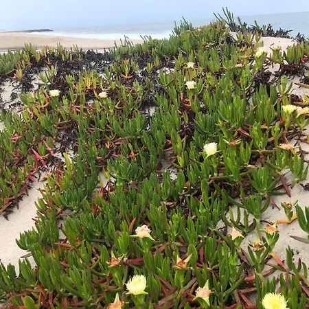 Beachfront Costa Nova Villa - 3 Bedroom Apartment * Gafanha da Encarnacao